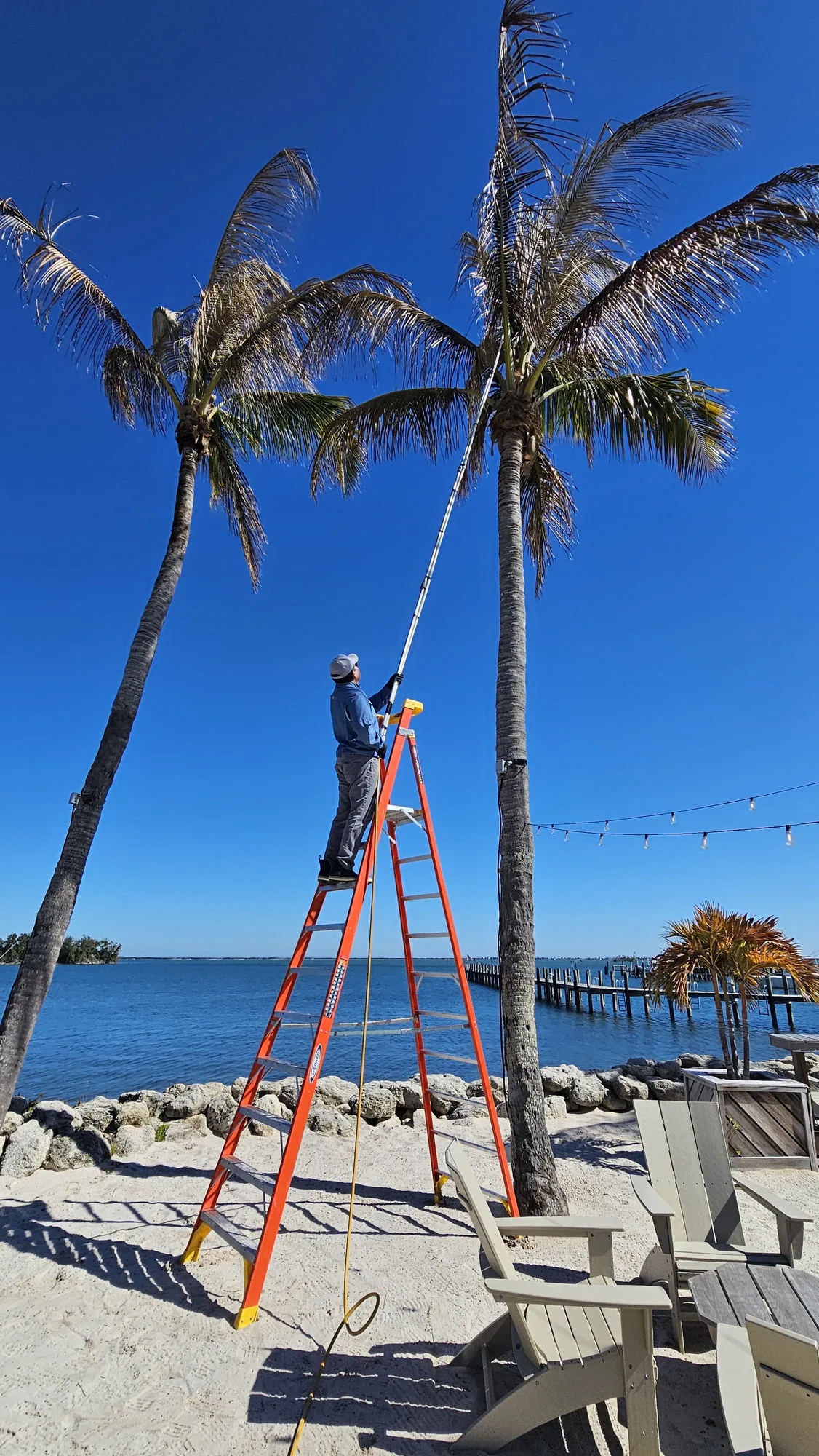 Rhino Pest Management technician treating palm trees at a Treasure Coast waterfront home near Grant-Valkaria, FL